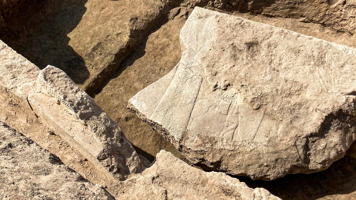 ‘Quite enigmatic’: Rare stone carving of Assyrian king surrounded by gods discovered in Iraq