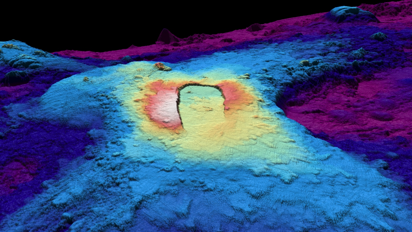 Marine life’s latest hotspot could be an underwater volcano primed to erupt off Oregon