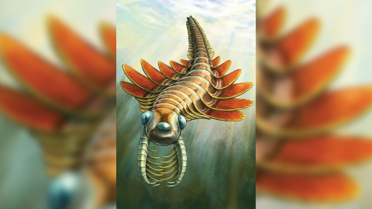 Half-a-billion-year-old 3-eyed sea creature dubbed ‘Mosura’ breathed through big gills on its butt