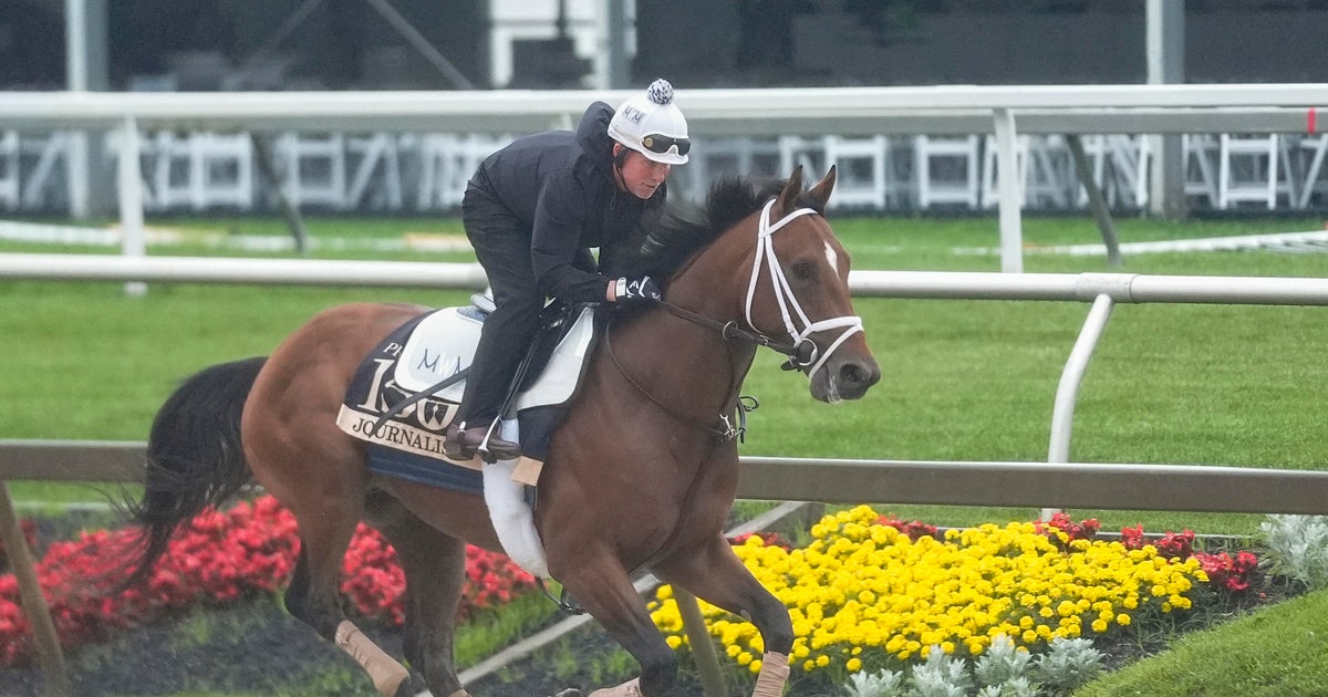 Meet the horses running in the Preakness Stakes