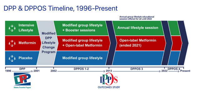 The tragic termination of the Diabetes Prevention Program Outcomes Study