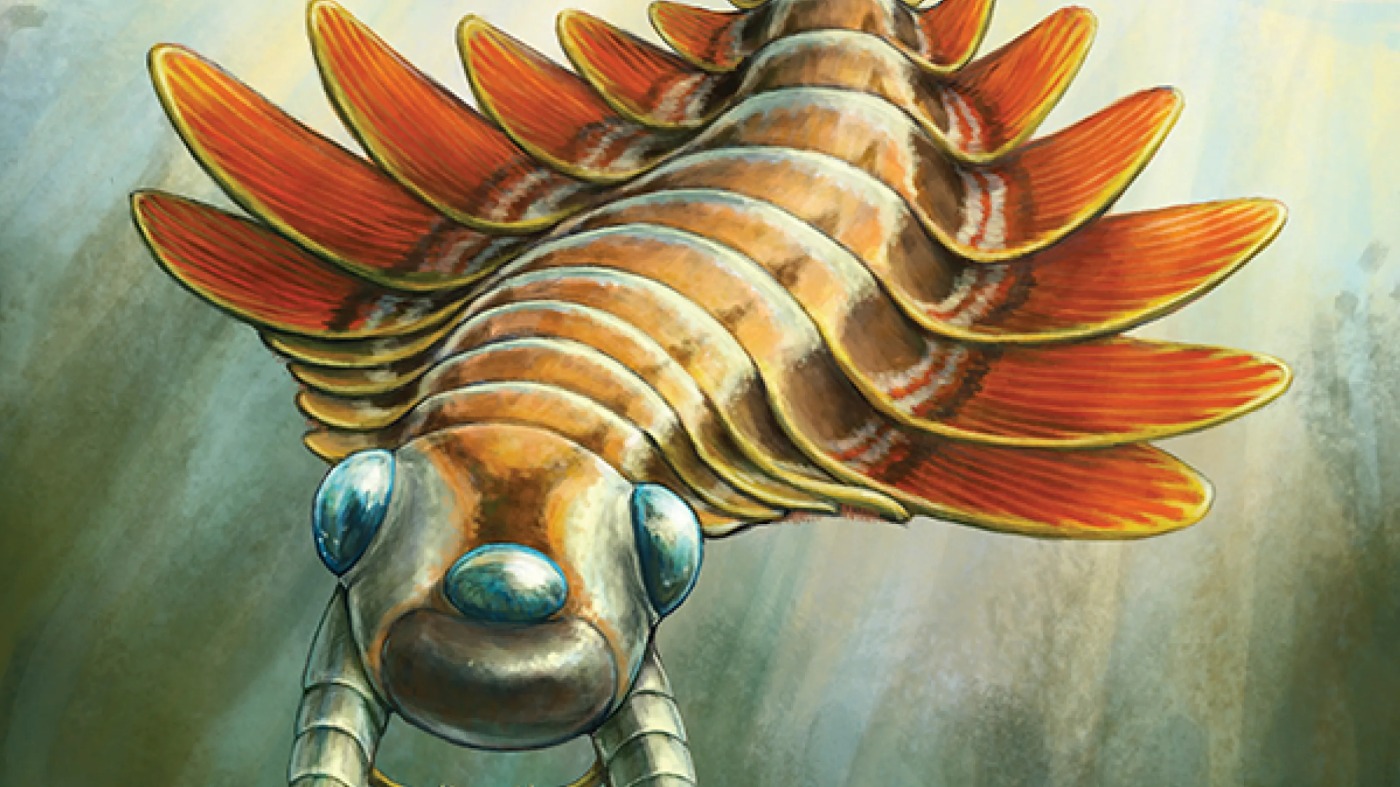 Paleontologists discover a 500-million-year-old, 3-eyed predator