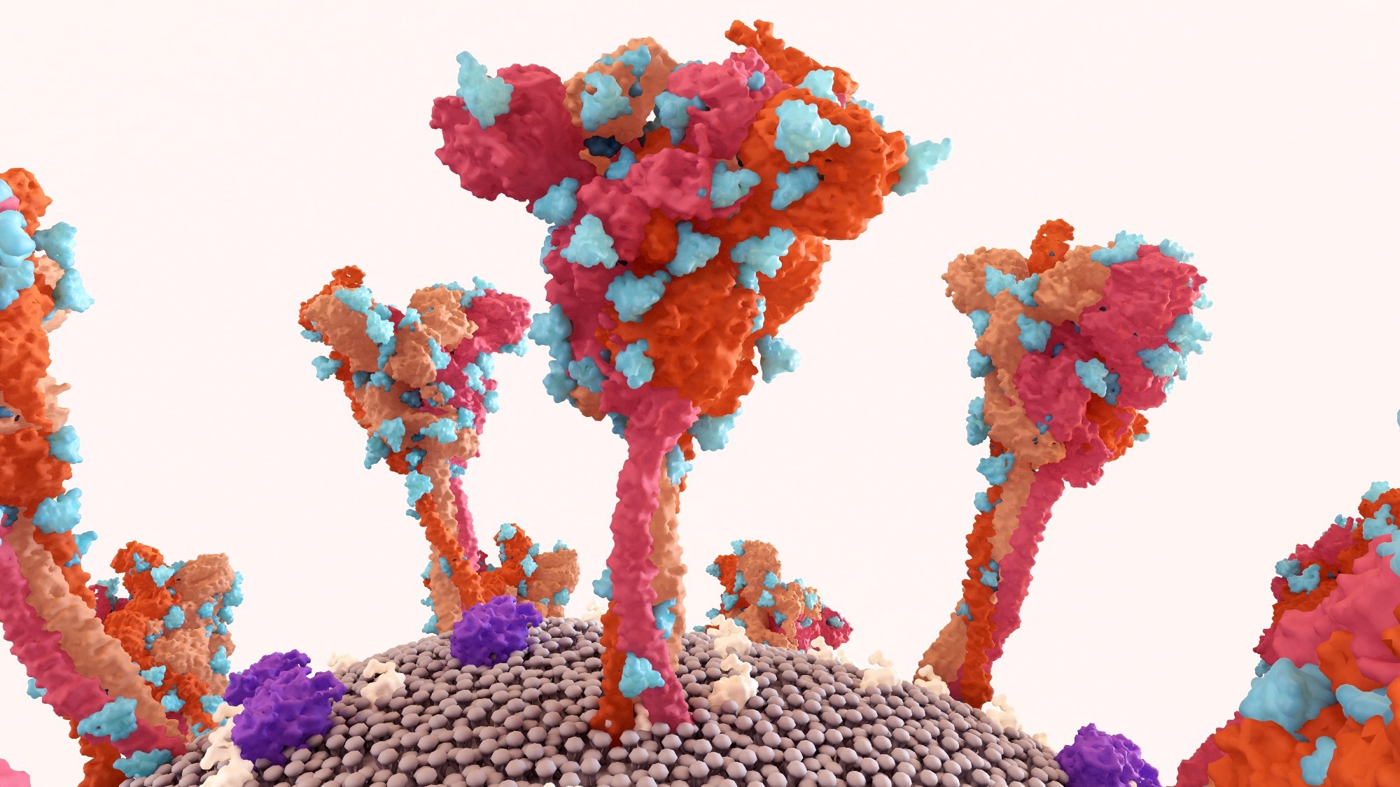 Electromagnetic waves disrupt SARS-CoV-2 spike protein and lower infectivity