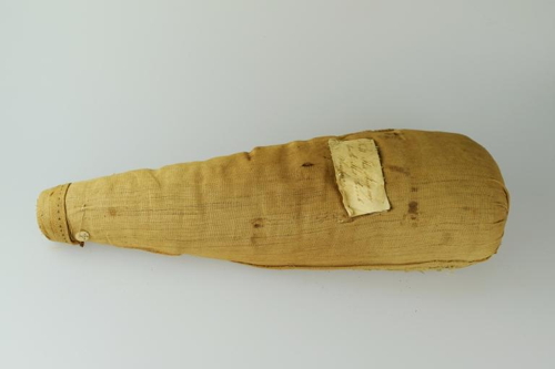 Mummified Ibis Fraud at Saqqara