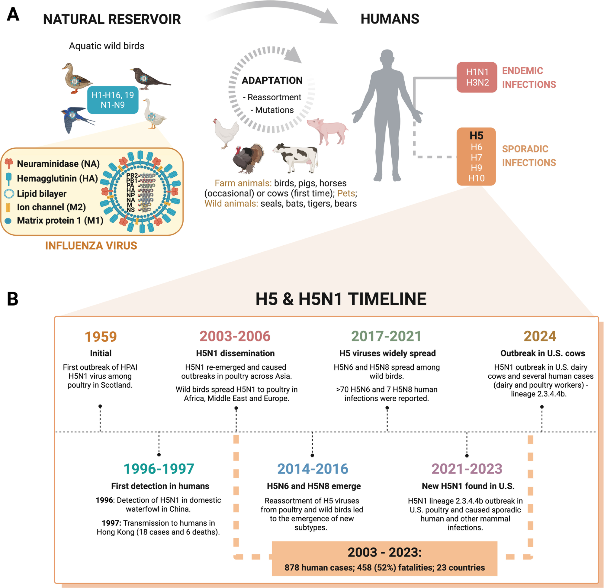 What makes H5N1 a pandemic risk and how can we stop it?