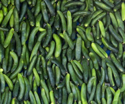 FDA says Florida cucumbers linked to salmonella outbreak in 15 states