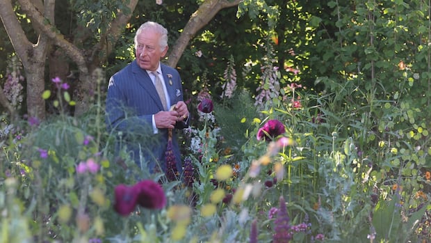 IN PHOTOS | Chelsea Flower Show blooms with royals, celebs