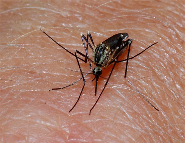 SwRI designs bed netting systems for mosquito-based malaria control