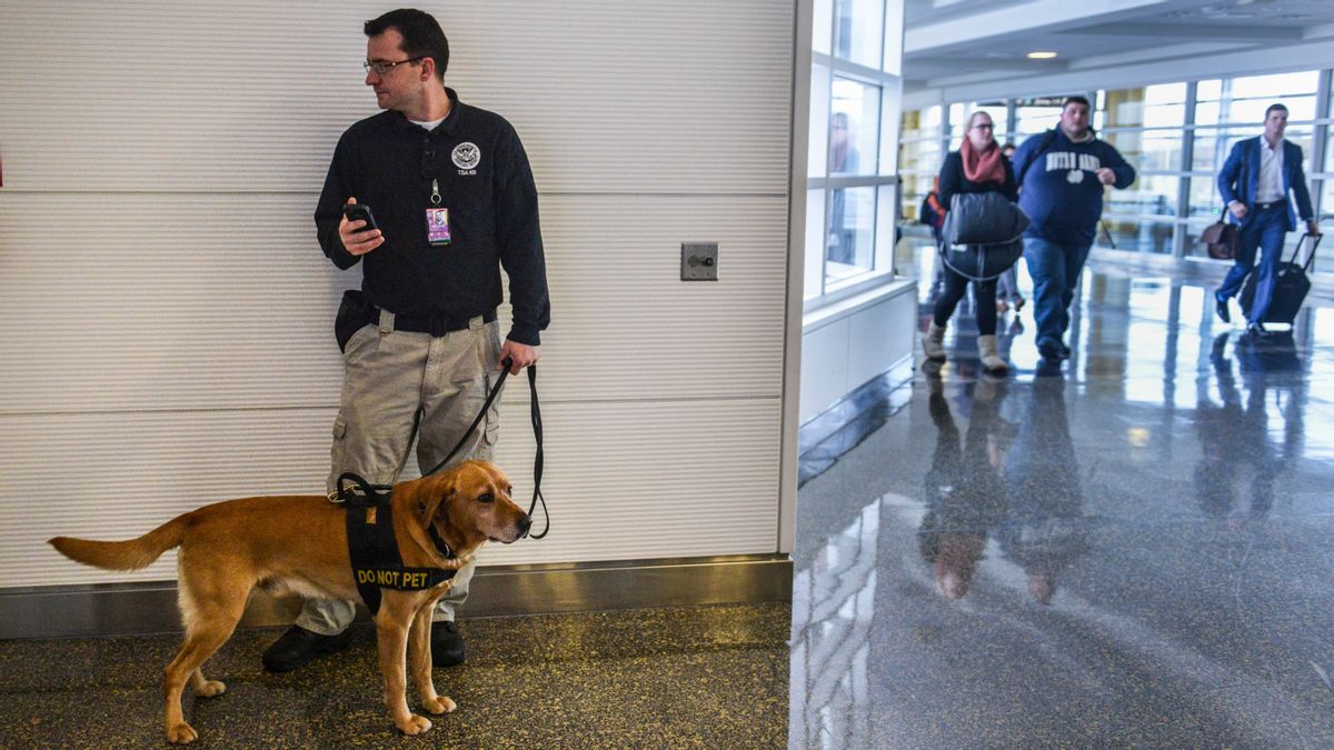 doge-allegedly-froze-spending-on-care,-feeding-of-tsa-bomb-sniffing-dogs.-here’s-what-we-know
