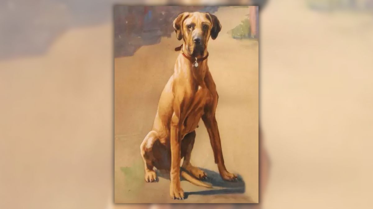 Dog Received WWII-Era Medal for Urinating on and Defusing Bomb?