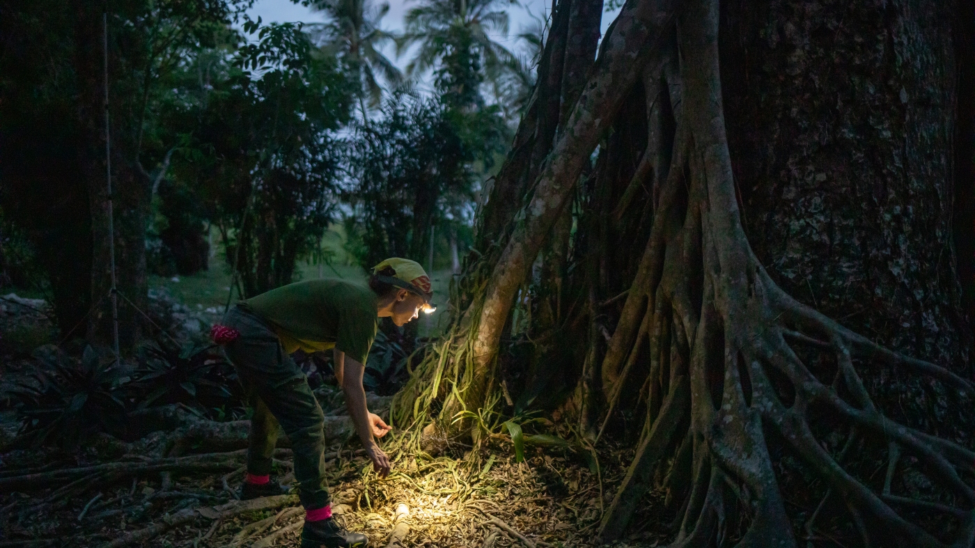 Scientists want to track the world’s biodiversity using DNA in the air