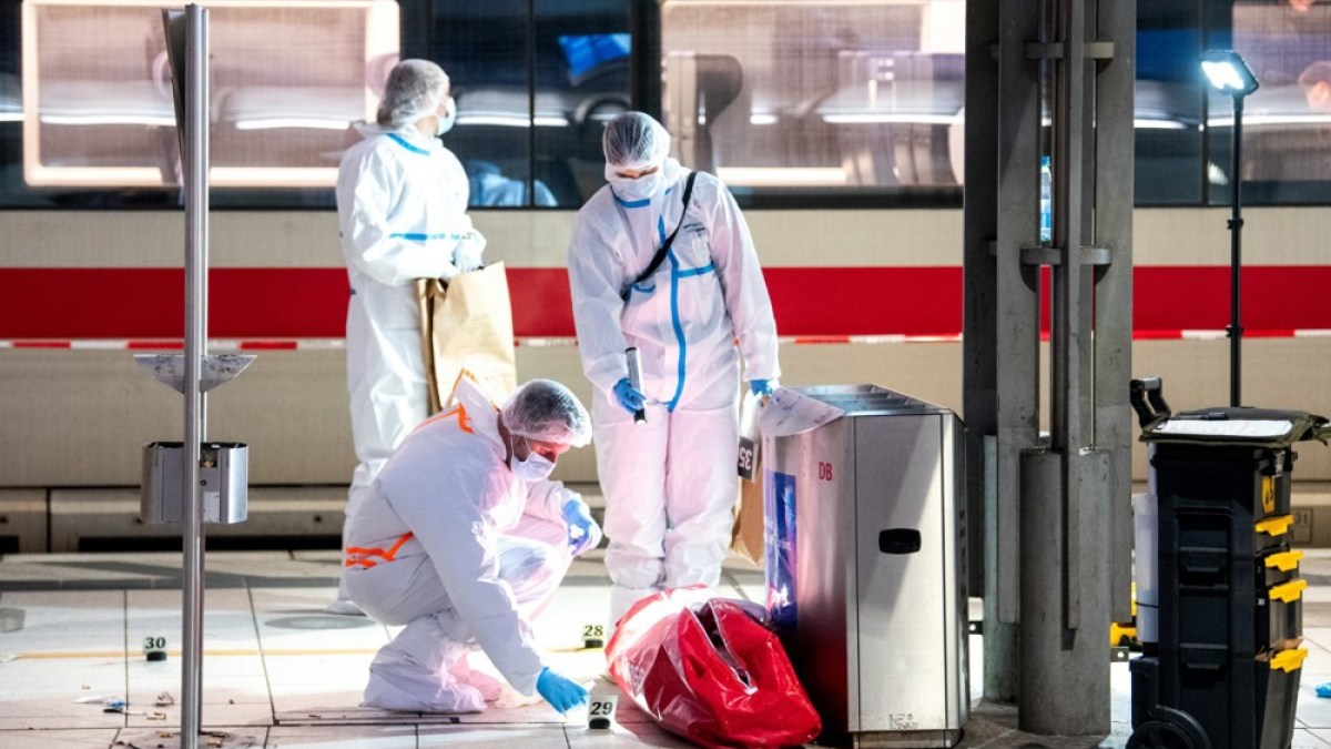 German woman arrested after mass stabbing at Hamburg train station