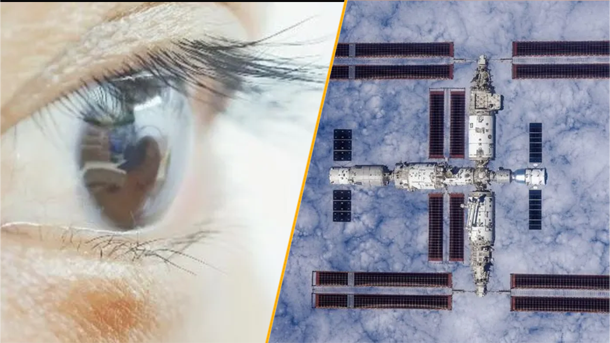Science news this week: ‘Super-vision’ contact lenses and bacteria in space