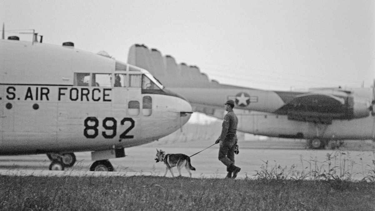 Army Dogs Always Outrank Their Handlers to Prevent Mistreatment?