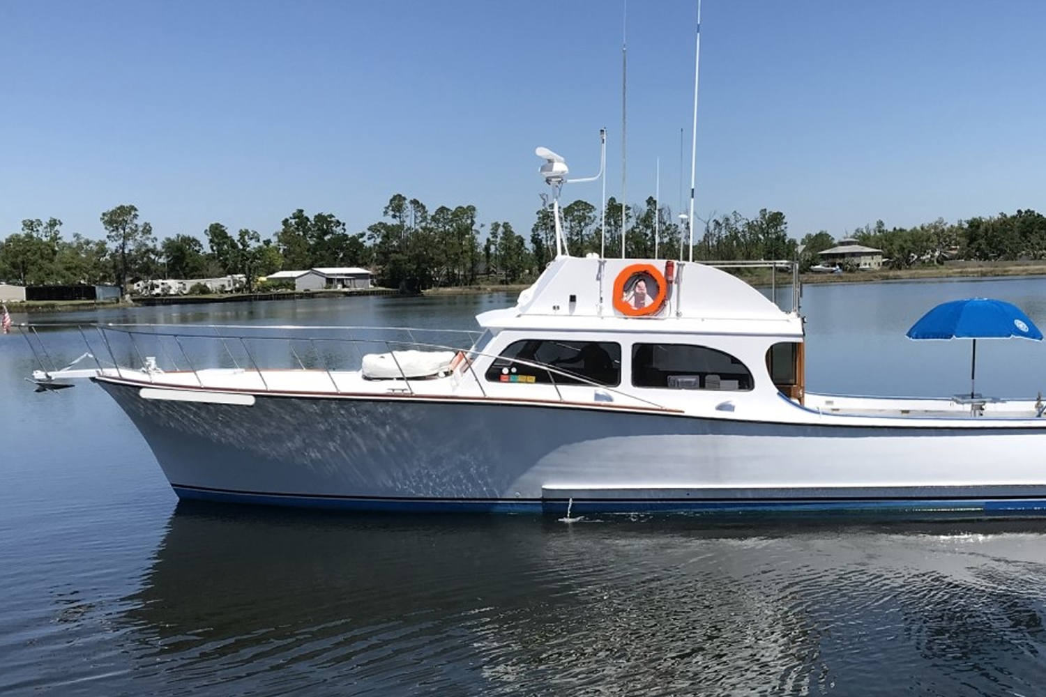 Florida man who shot and poisoned dolphins sentenced to 1 month