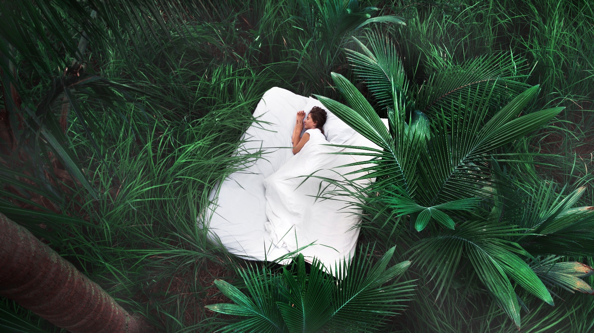 Stress-induced sleep may hold the key to faster recovery