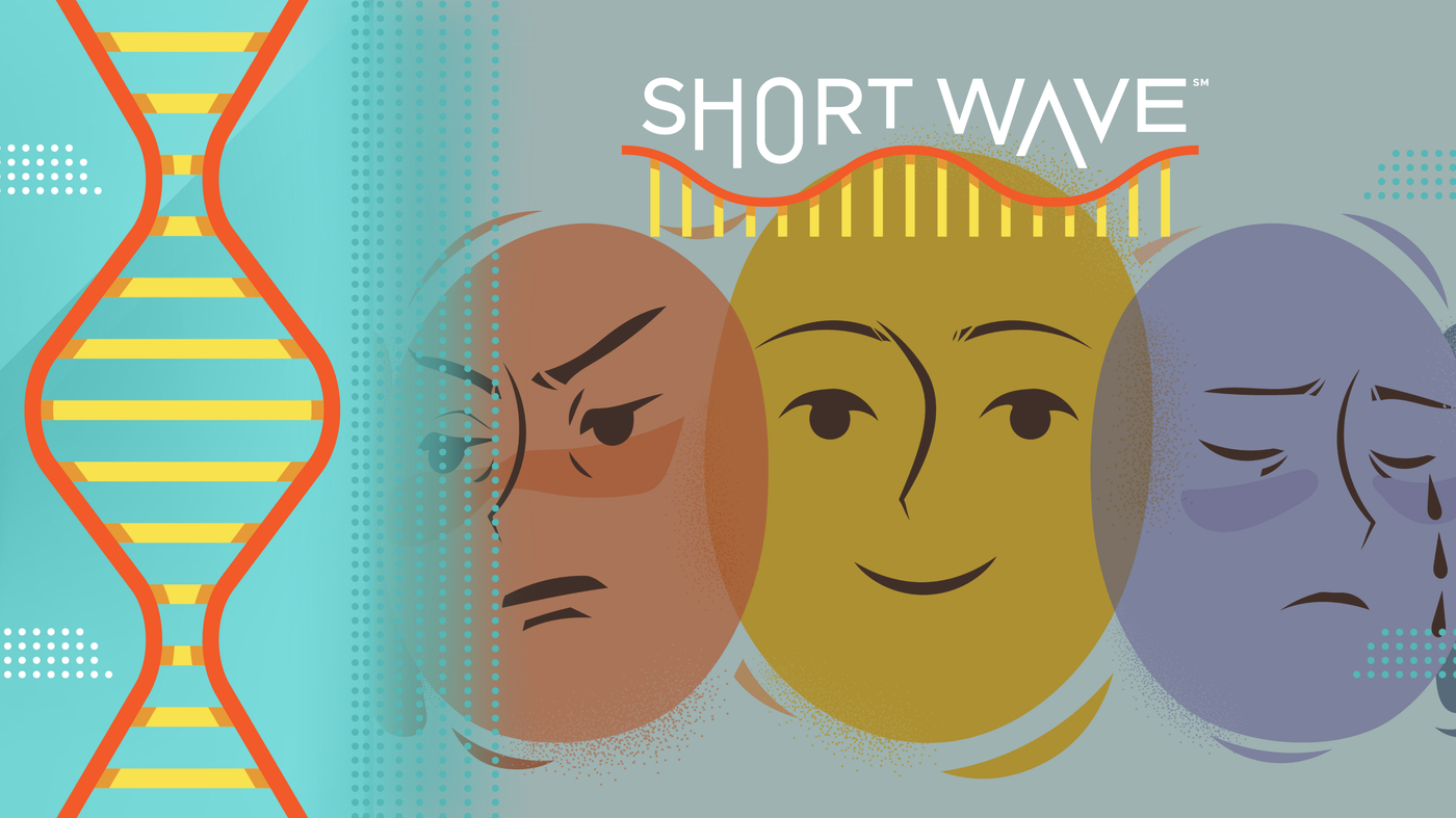 One researcher shares her experience studying and living with bipolar disorder