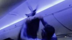 Watch: Loose pigeons cause havoc on plane before take-off