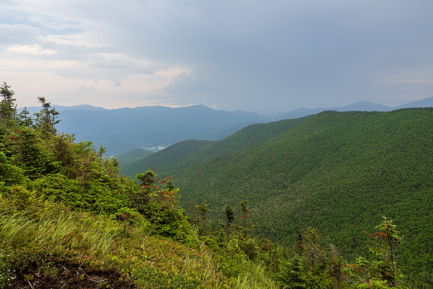 Mushroom-tripping hikers mistakenly report a companion’s death, officials say