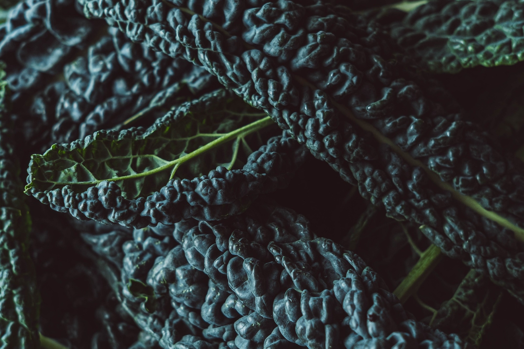 Scientists boost black cabbage’s health benefits with targeted fermentation