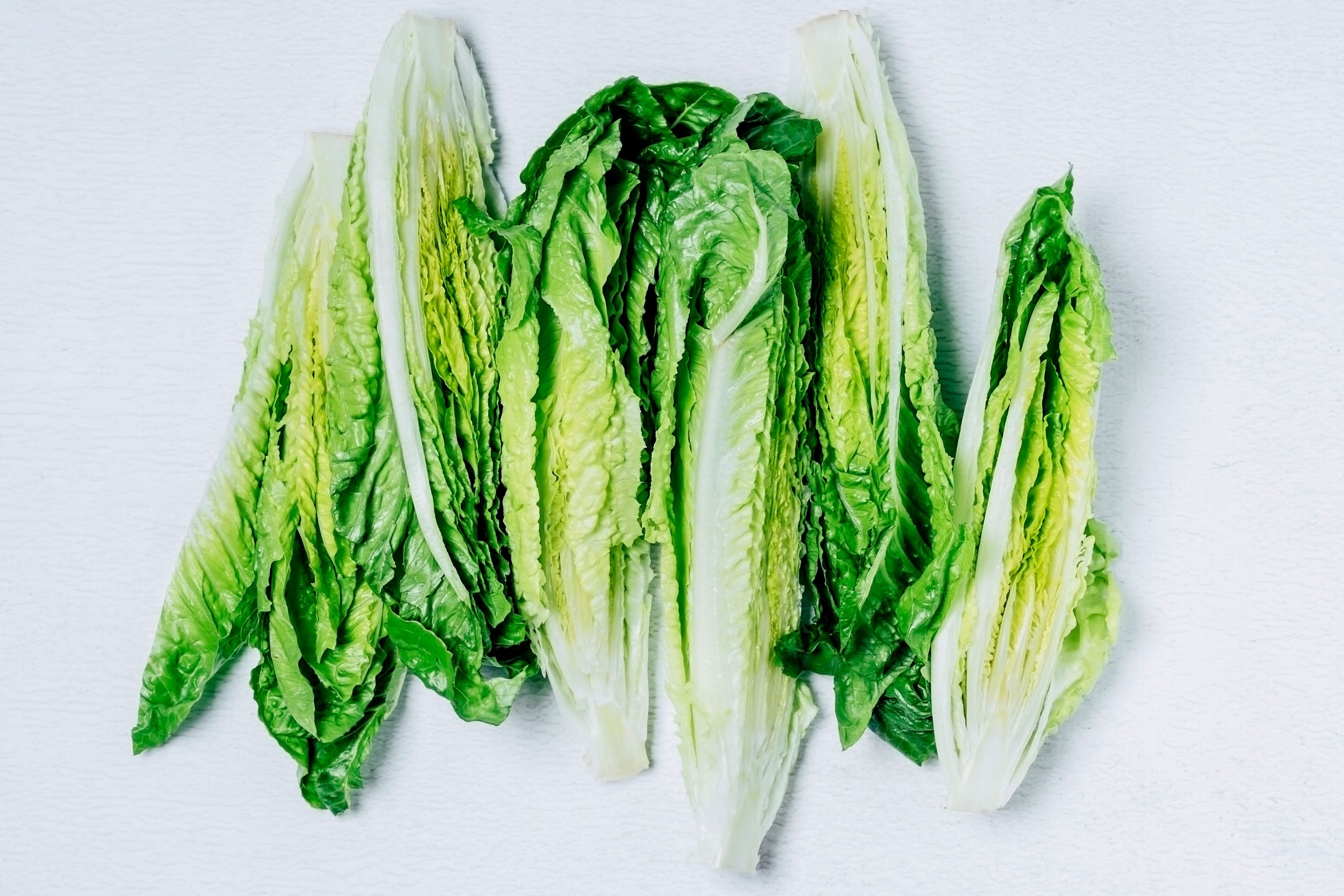 Silence on E. Coli Outbreak Highlights How Trump Team’s Changes Undermine Food Safety