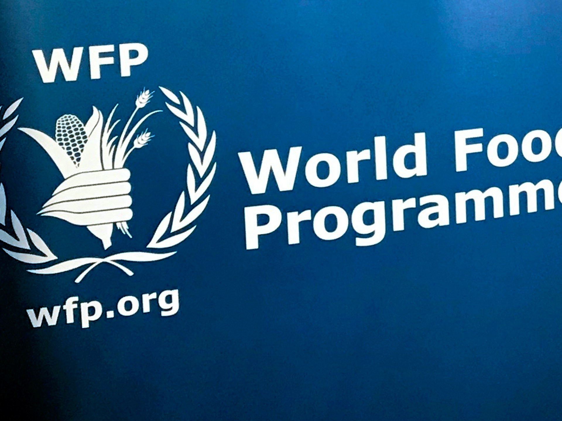 ‘This must stop now’: UN food body condemns RSF attacks on Sudan premises