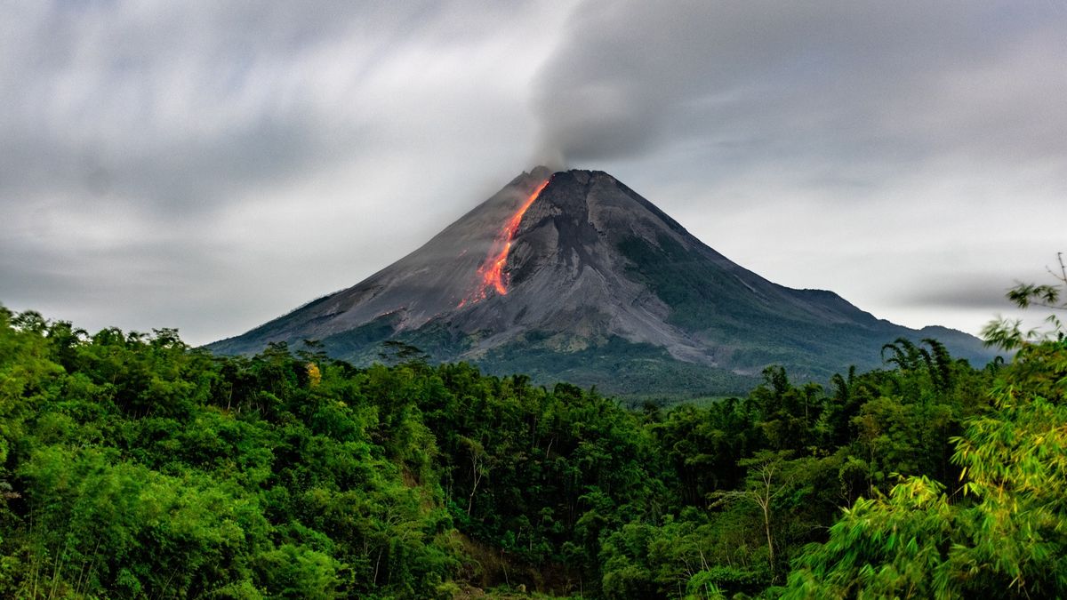 The closer a volcano is to erupting, the greener the trees around it look from space