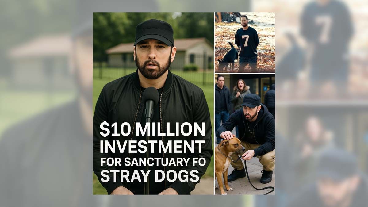Eminem announced $10M investment to build stray dog rescue ‘paradise’?