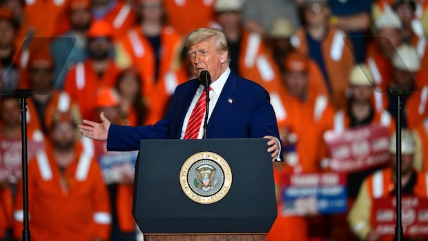 Trump says he plans to double steel tariffs to 50%