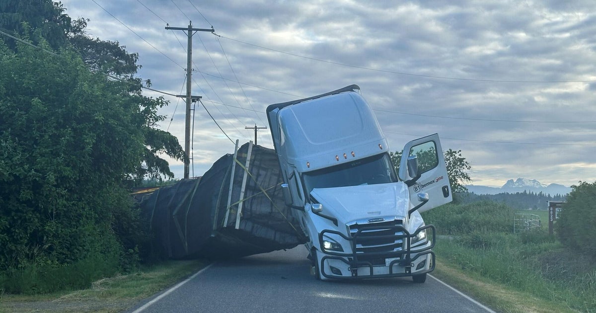 Millions of bees escape after truck overturns in Washington state