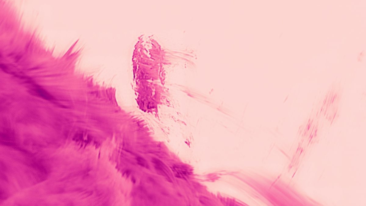 Space photo of the week: Pink ‘raindrops’ on the sun captured in greatest detail ever
