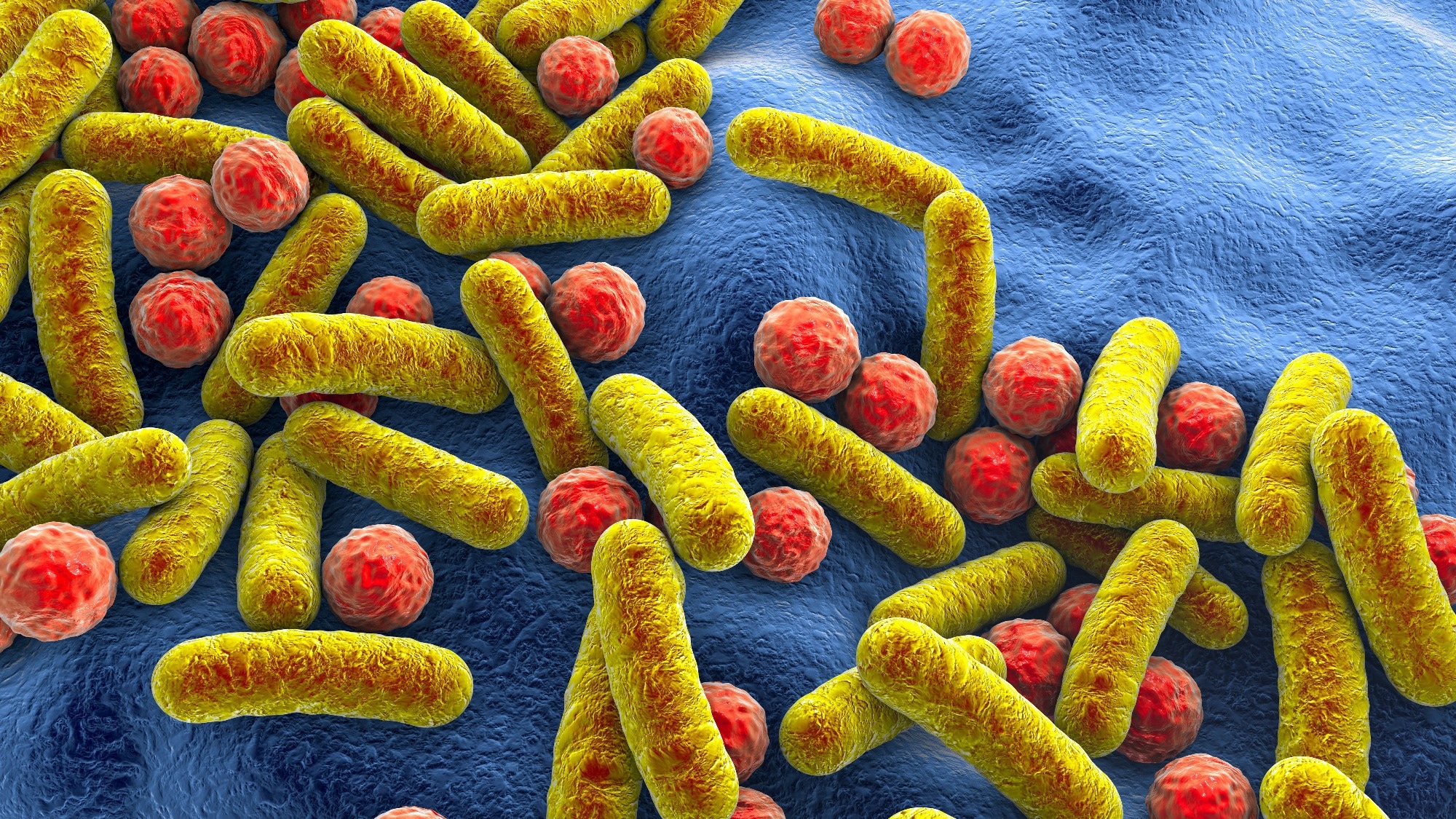 Experts chart path to bring microbiome science into routine clinical care