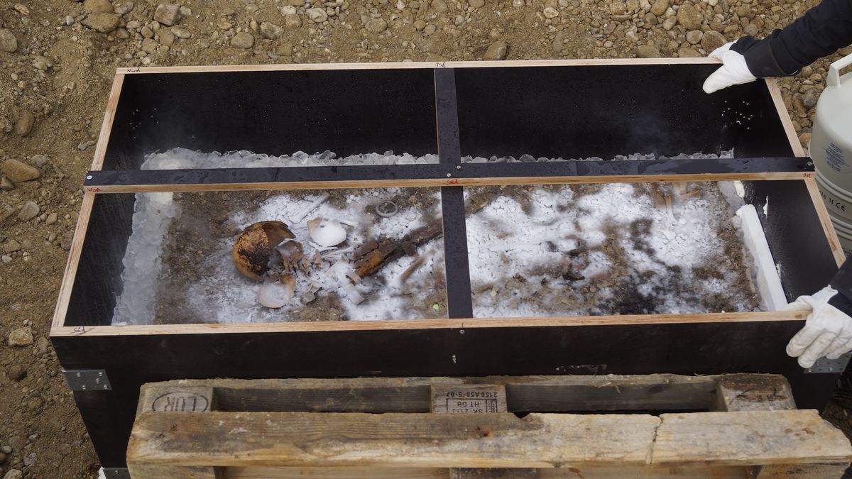 Blue-eyed ‘Ice Prince’ toddler was buried with a sword and a piglet 1,350 years ago in Bavaria