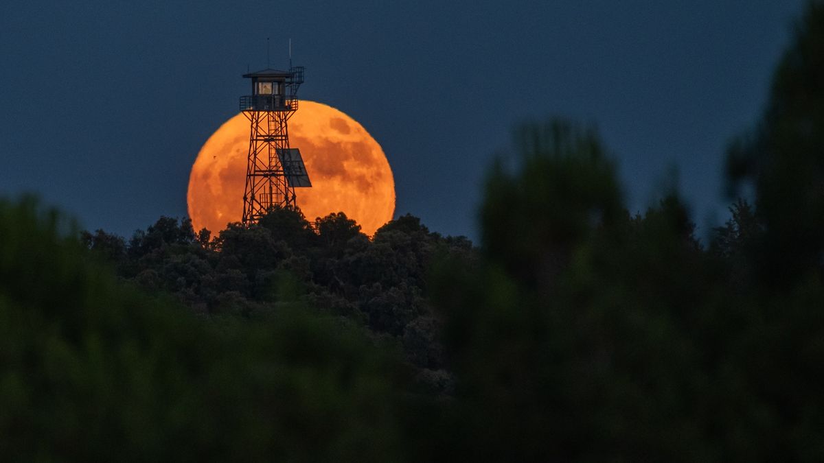 ‘Strawberry Moon’ 2025: June’s full moon is about to break an annual record