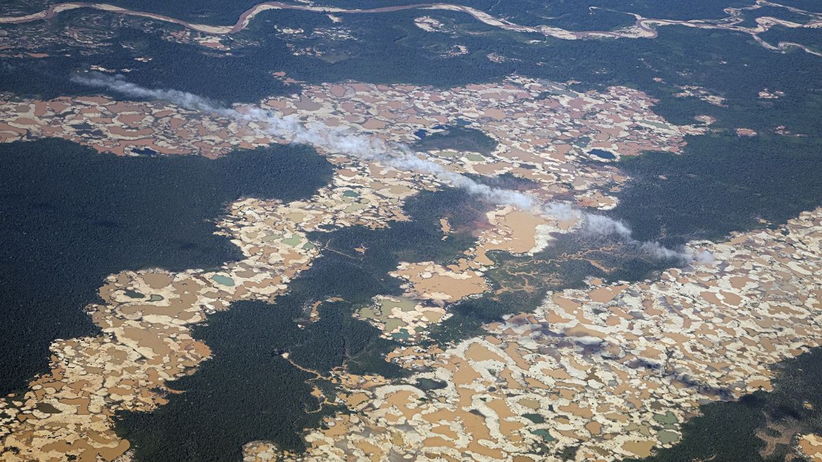 ‘It’s like trying to grow a tree in an oven’: Gold mining is sucking the Amazon rainforest dry