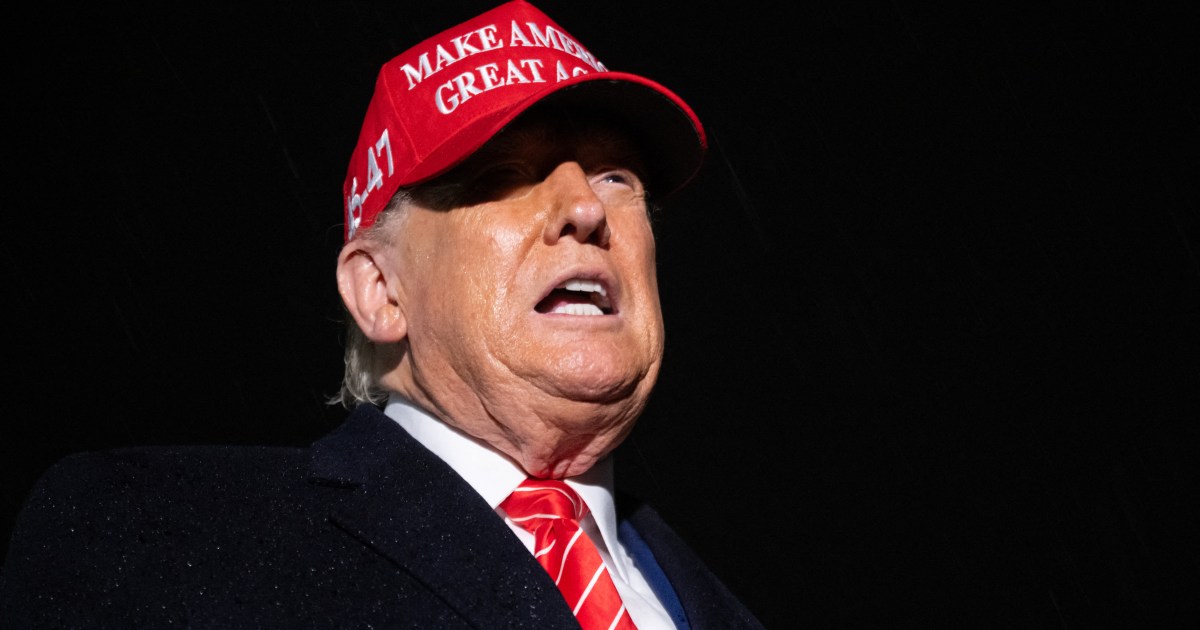 Tweety McTreason announces US travel ban on 12 countries, restrictions on seven