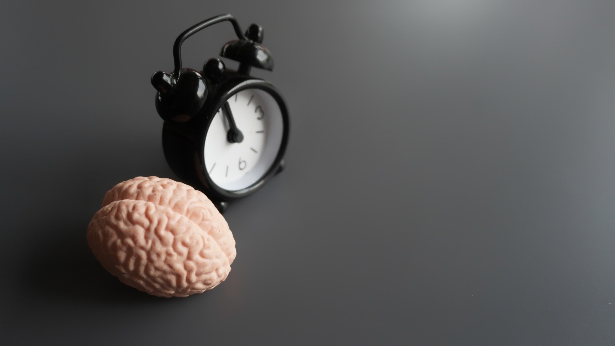 Experts review how 12-hour biological cycles operate in mice, with clues in humans