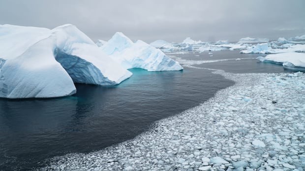 How to watch CBC’s coverage of 1st all-Canadian Antarctic expedition