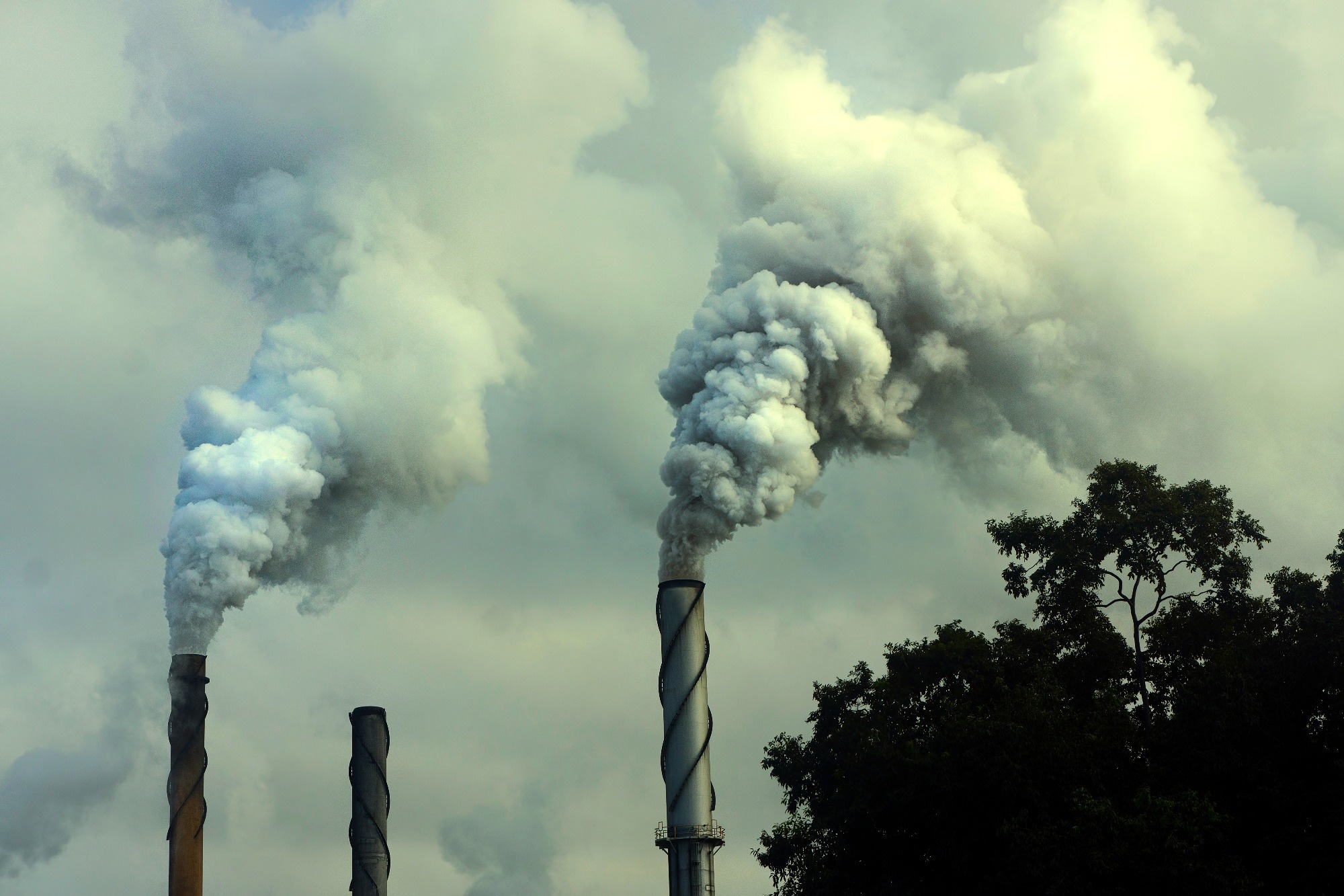 Scientists identify genetic clues linking air pollution to neurodegeneration