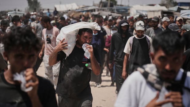 At least 16 killed in Gaza, aid group closes distribution centres over safety concerns