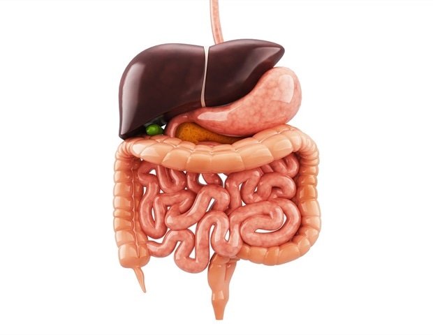 New study warns of long-term risks from fecal microbiota transplants