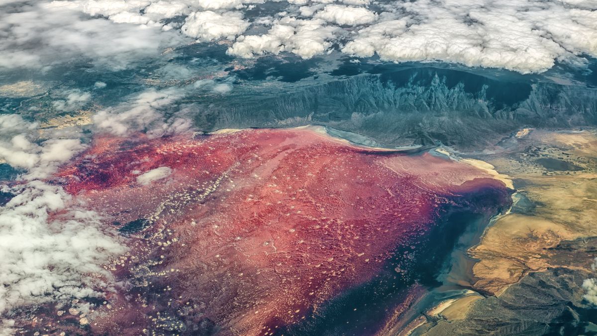 Lake Natron: The caustic, blood-red lake in Tanzania that turns animals to ‘stone’