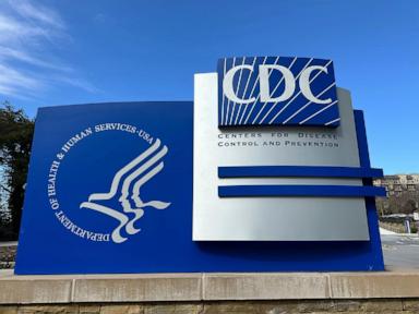 Salmonella outbreak tied to eggs sickens dozens across 7 states