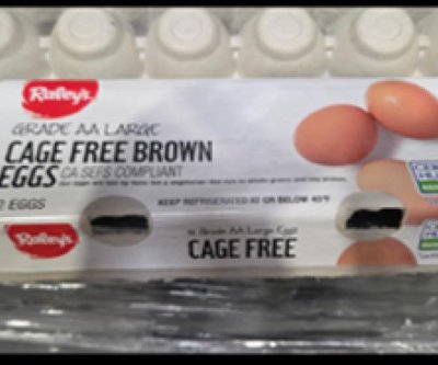 Eggs recalled in salmonella outbreak after 79 people fall ill