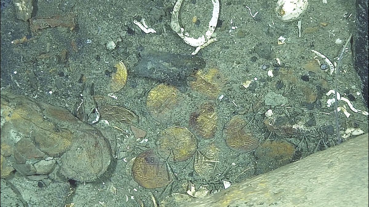 Gold coins from ‘world’s richest shipwreck’ reveal 300-year-old depictions of castles, lions and Jerusalem crosses