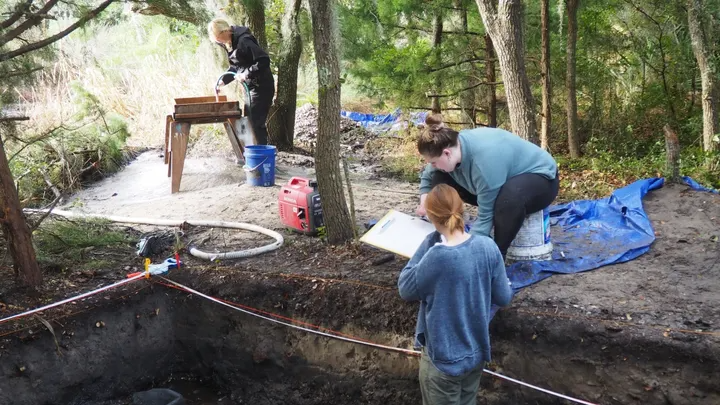 ‘Lost Colony’ of Roanoke may have assimilated into Indigenous society, archaeologist claims — but not everyone is convinced