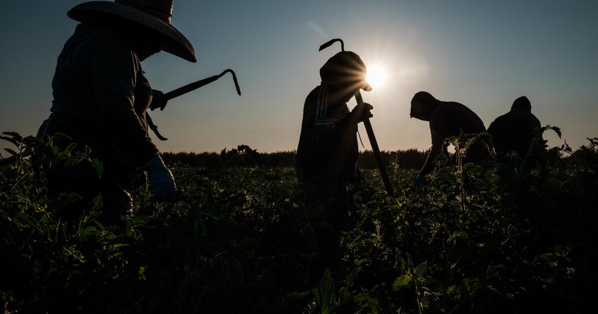 ICE expands immigration raids into California’s agricultural heartland