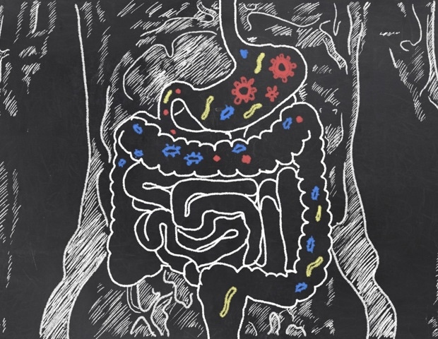 Scientists discover hundreds of new metabolites linked to the human microbiome