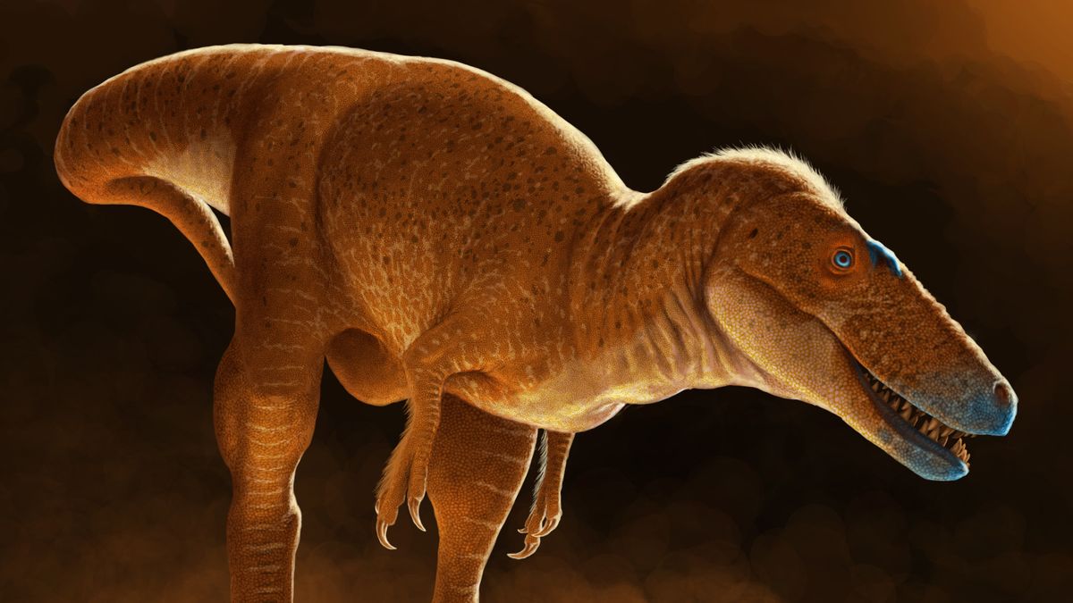 Meet ‘Dragon prince’ — the newly discovered T. rex relative that roamed Mongolia 86 million years ago