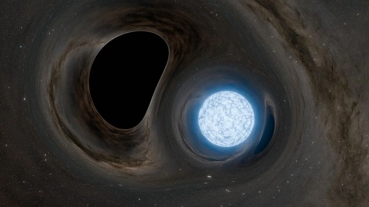 Astronomers simulate a star’s final moments as it’s swallowed by a black hole: ‘Breaks like an egg’